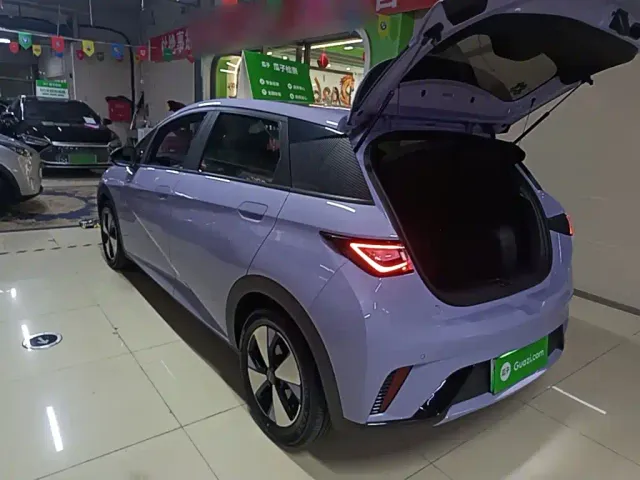 BYD Dolphin — Фото автомобиля 4