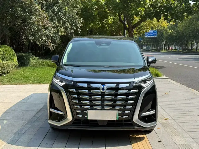 Denza D9 — Фото автомобиля 3