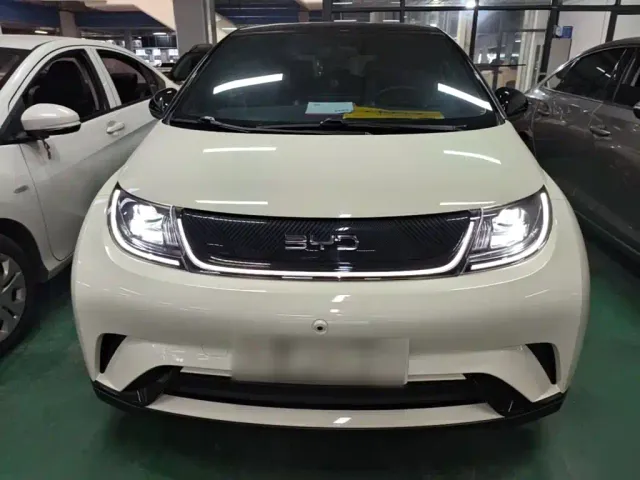 BYD Dolphin — Фото автомобиля 2