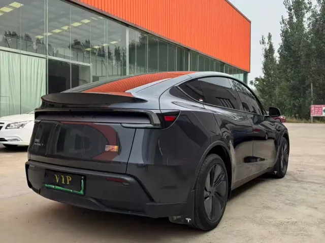 Tesla Model Y — Фото автомобиля 4