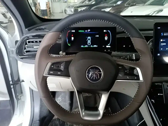 BYD Qin PLUS — Фото автомобиля 6