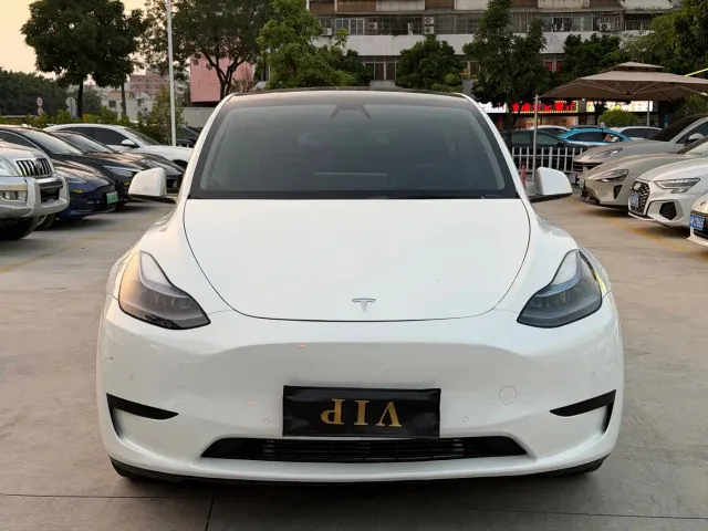 Tesla Model Y — Фото автомобиля 2
