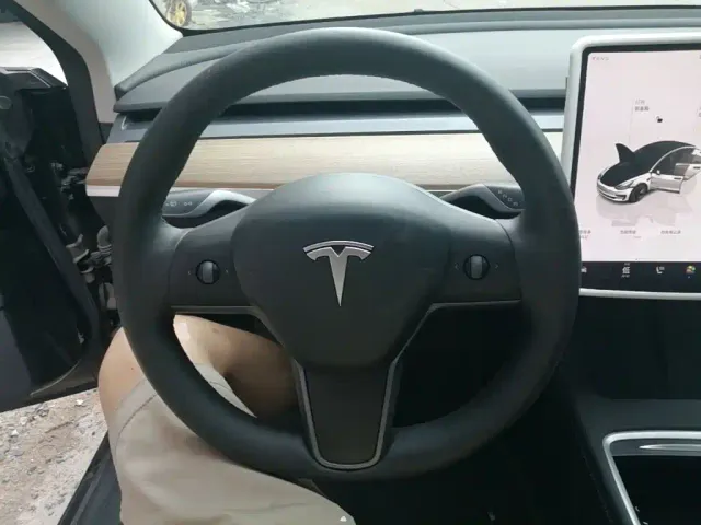 Tesla Model 3 — Фото автомобиля 10