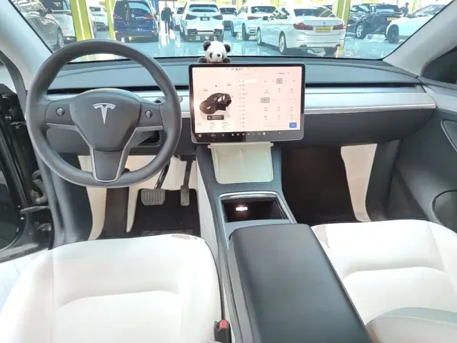 Tesla Model Y — Фото автомобиля 9