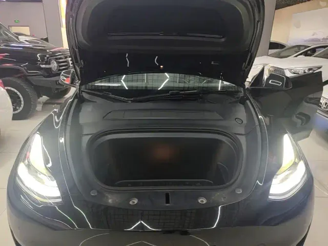 Tesla Model Y — Фото автомобиля 19