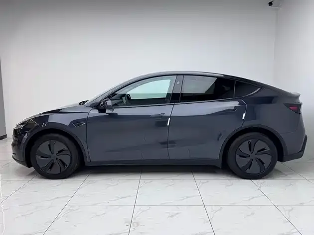 Tesla Model Y — Фото автомобиля 2