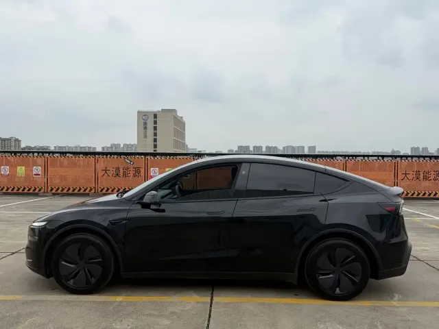 Tesla Model Y — Фото автомобиля 9