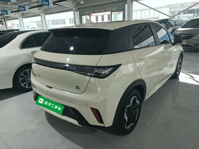 BYD Dolphin — Фото автомобиля 6