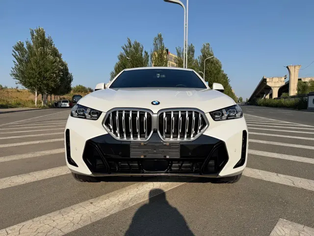 BMW X6 — Фото автомобиля 3
