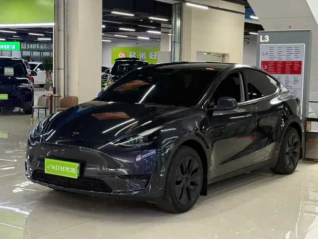 Tesla Model Y — Фото автомобиля 3