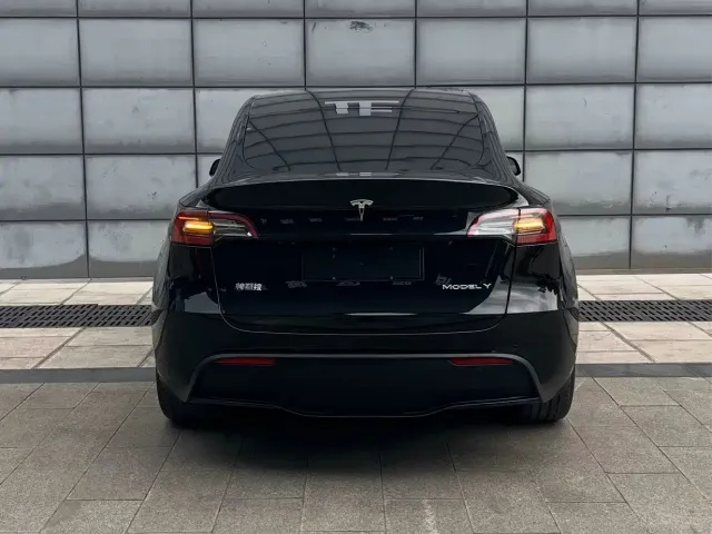 Tesla Model Y — Фото автомобиля 10