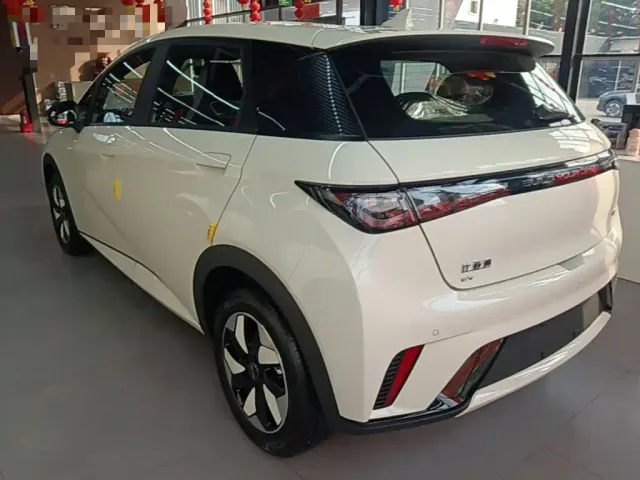 BYD Dolphin — Фото автомобиля 4