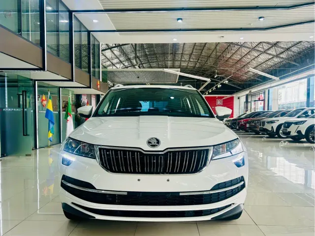 Skoda Karoq — Фото автомобиля 2