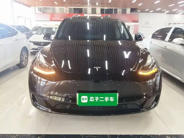 Tesla Model Y — Фото автомобиля 2