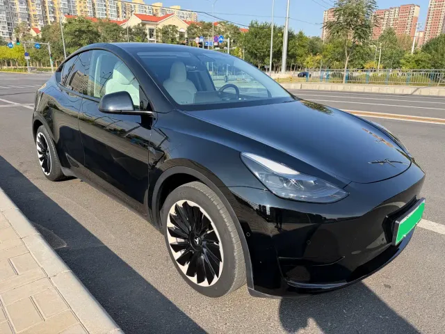 Tesla Model Y — Фото автомобиля 3