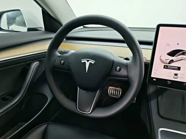 Tesla Model 3 2022 Performance High-Performance AWD — Фото автомобиля 12