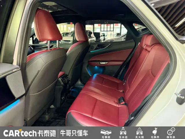 Lexus NX — Фото автомобиля 18