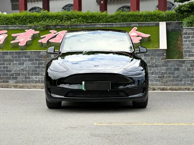 Tesla Model Y — Фото автомобиля 2