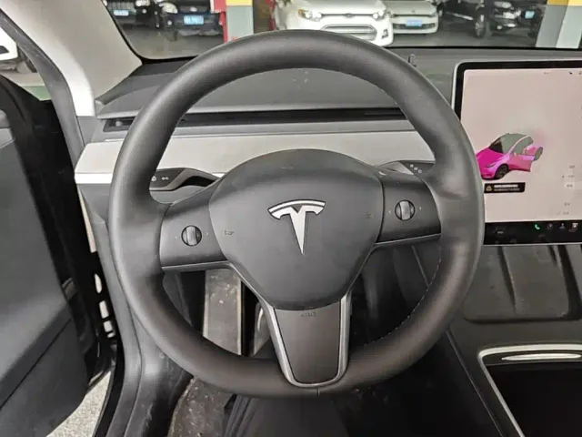 Tesla Model Y — Фото автомобиля 10