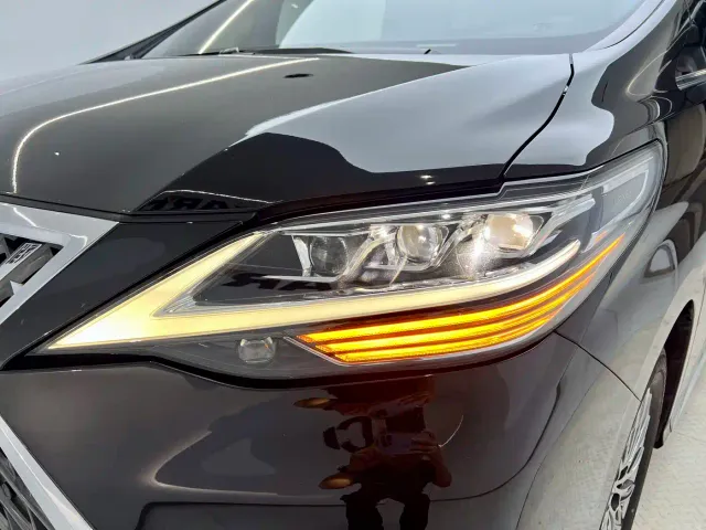 Lexus LM — Фото автомобиля 12