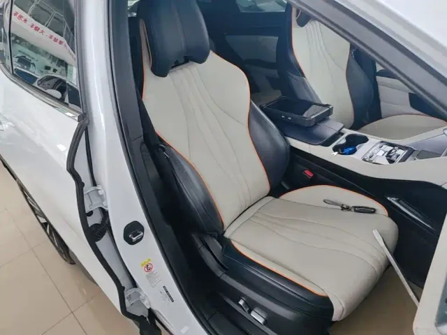 BYD Song PLUS — Фото автомобиля 24