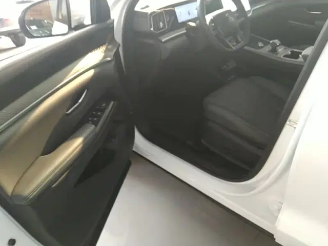 BYD Song Pro — Фото автомобиля 15