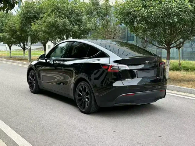 Tesla Model Y — Фото автомобиля 4