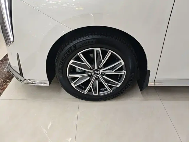 GAC Trumpchi M8 — Фото автомобиля 22
