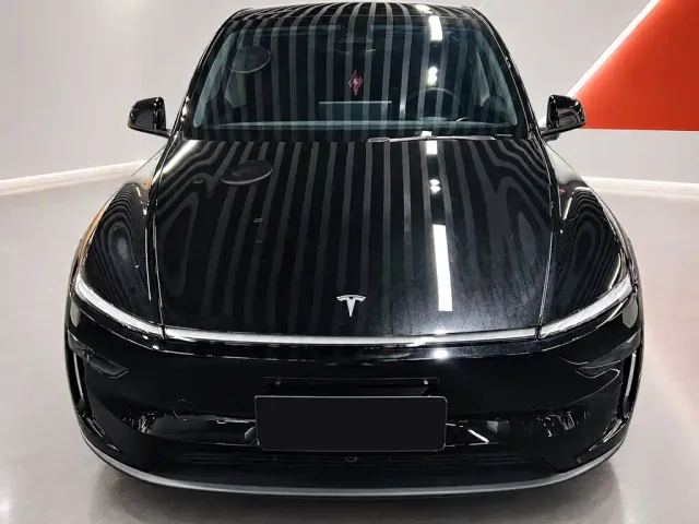 Tesla Model Y — Фото автомобиля 2
