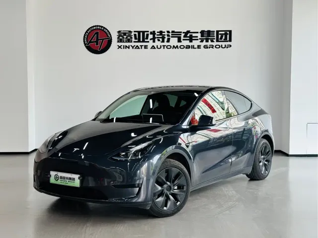 Tesla Model Y — Фото автомобиля 2
