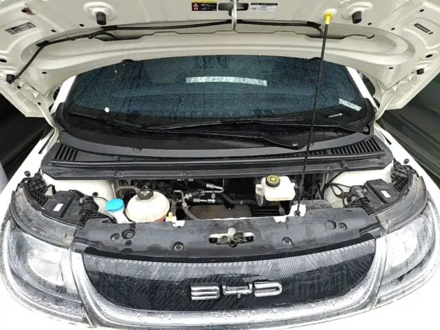 BYD Dolphin — Фото автомобиля 19