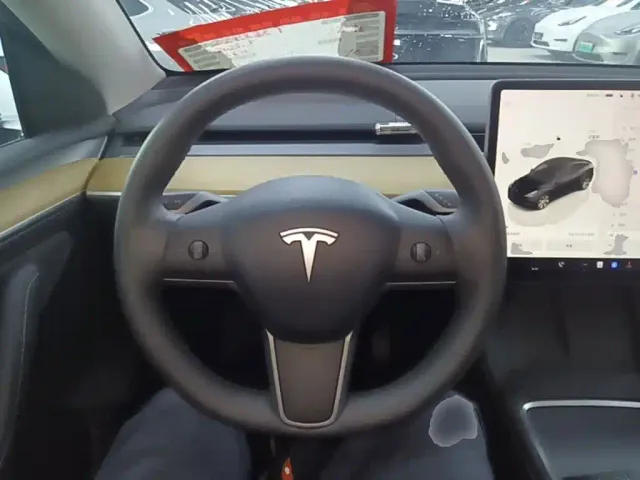 Tesla Model Y — Фото автомобиля 10