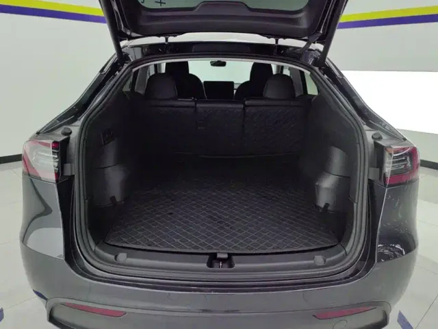 Tesla Model Y — Фото автомобиля 4