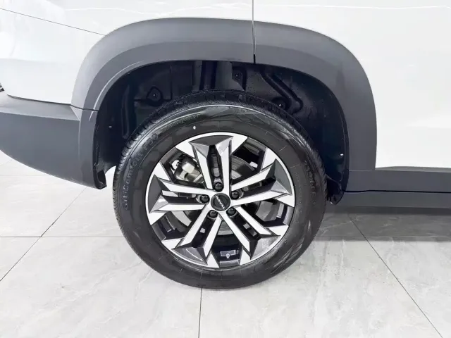 Haval Big Dog — Фото автомобиля 21