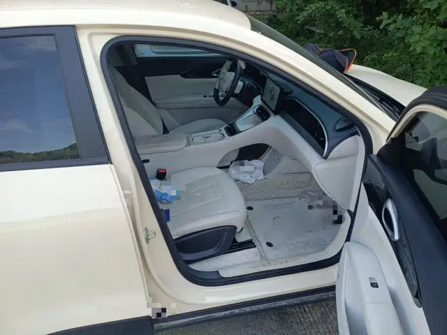 Geely Starry Wish — Фото автомобиля 16