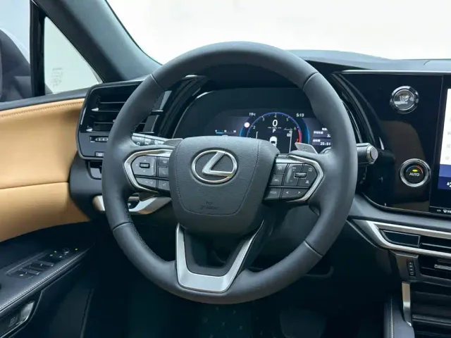 Lexus RX — Фото автомобиля 19