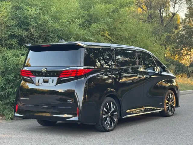 Toyota Alphard — Фото автомобиля 17