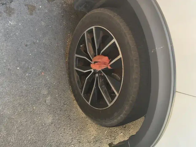 SWM Motor SWM X3 — Фото автомобиля 6