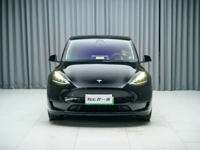 Tesla Model Y — Фото автомобиля 2