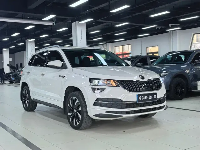 Skoda Karoq — Фото автомобиля 3