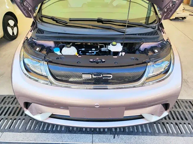 BYD Dolphin — Фото автомобиля 19