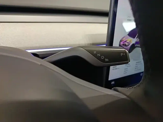 Tesla Model Y — Фото автомобиля 13