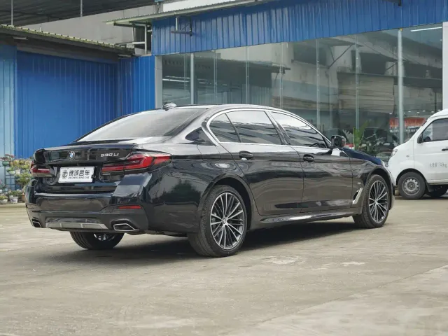 BMW 5 Series — Фото автомобиля 11