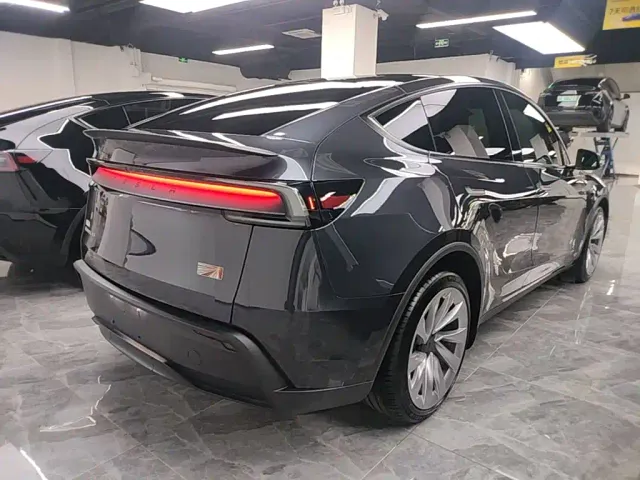 Tesla Model Y — Фото автомобиля 6