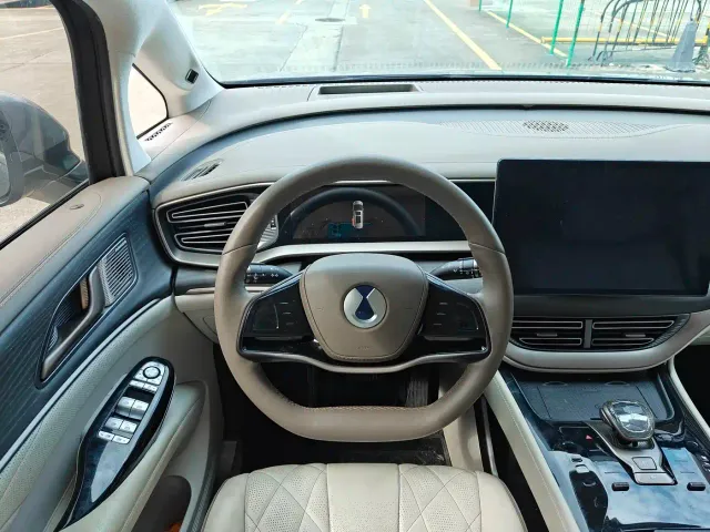 Denza D9 — Фото автомобиля 11