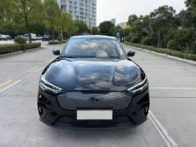 Ford Mustang Mach-E — Фото автомобиля 2