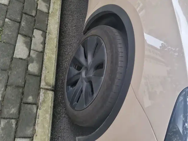 Tesla Model Y — Фото автомобиля 6