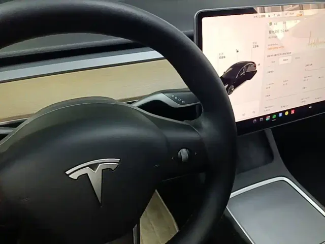 Tesla Model 3 — Фото автомобиля 13