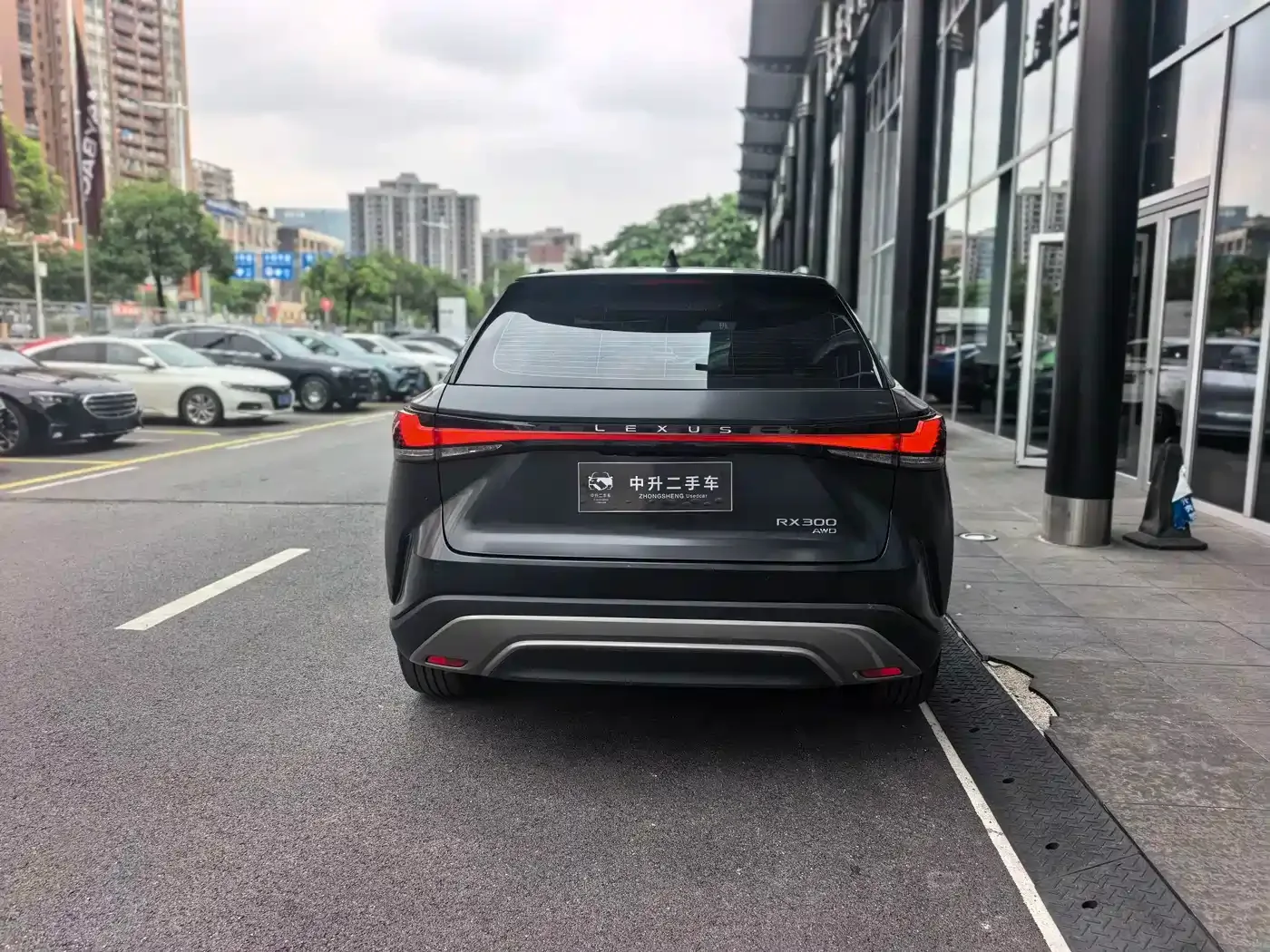 Lexus Lexus RX 2025 300 AWD Black Edition — Фото автомобиля 12