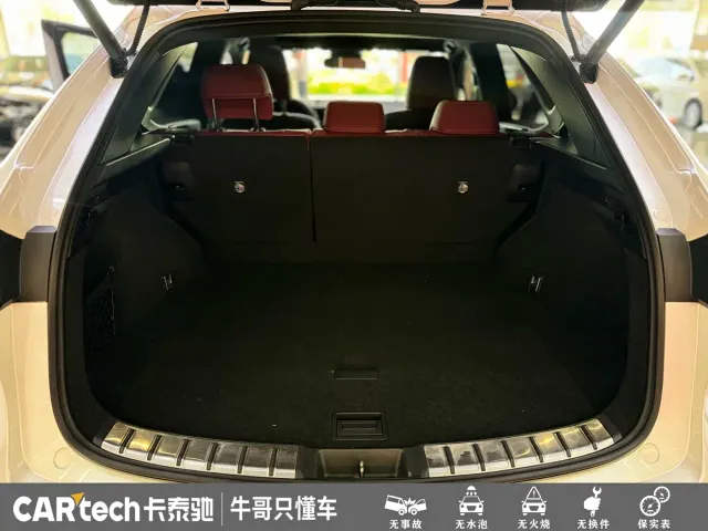 Lexus NX — Фото автомобиля 22